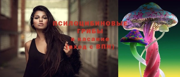 амф Абаза