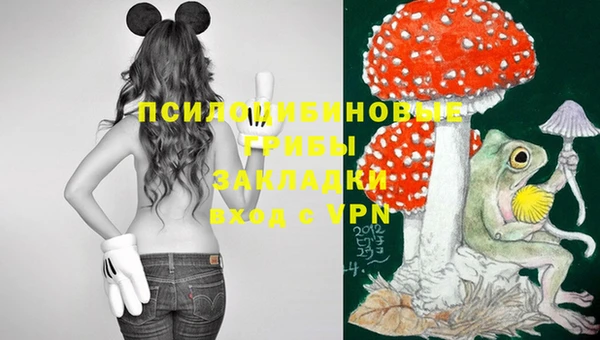 шишки Абдулино