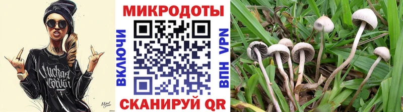 Псилоцибиновые грибы прущие грибы  Полярный 